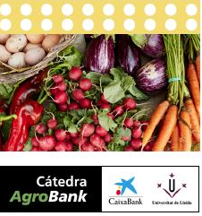 Catedra_AgroBank